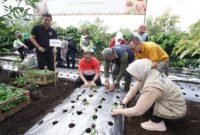 Foto : PJ Walikota Batu Aries Agung Paewai bersama Tim TPID Kota Batu saat lakukan penanaman 1500 bibit cabai di Desa Tulungrejo