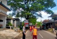 Foto : Dinas PU Bina Marga Kabupaten Malang melakukan pemangkasan bagian pohon yang dianggap berbahaya
