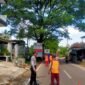 Foto : Dinas PU Bina Marga Kabupaten Malang melakukan pemangkasan bagian pohon yang dianggap berbahaya