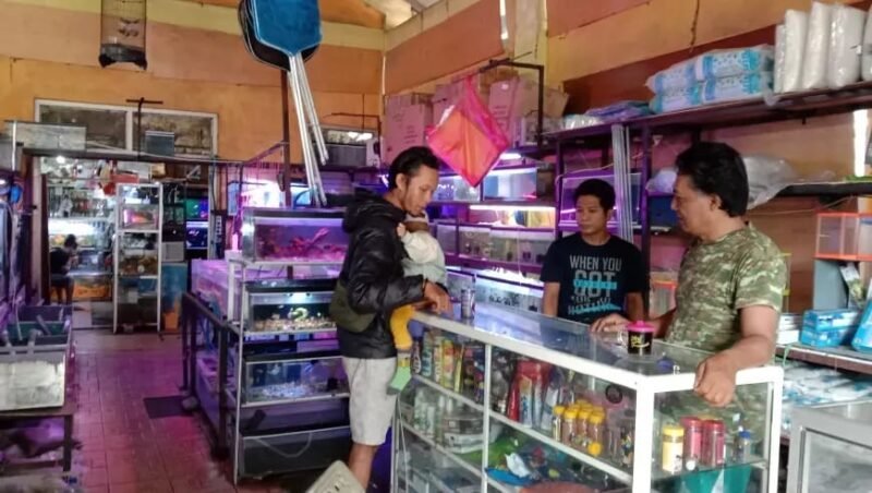Foto : Serda Sudarno sukses usaha ikan hias air tawar