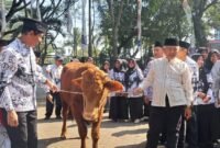 Ket foto. Bupati Malang H.M Sanusi (kanan) saat menyerahkan hewan kurban berupa 1 ekor sapi pada para guru yang diterima langsung Ketua PGRI kabupaten Malang Dwi Sucipto