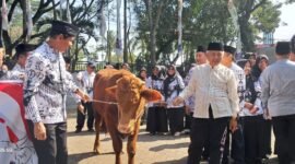 Ket foto. Bupati Malang H.M Sanusi (kanan) saat menyerahkan hewan kurban berupa 1 ekor sapi pada para guru yang diterima langsung Ketua PGRI kabupaten Malang Dwi Sucipto