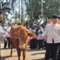 Ket foto. Bupati Malang H.M Sanusi (kanan) saat menyerahkan hewan kurban berupa 1 ekor sapi pada para guru yang diterima langsung Ketua PGRI kabupaten Malang Dwi Sucipto