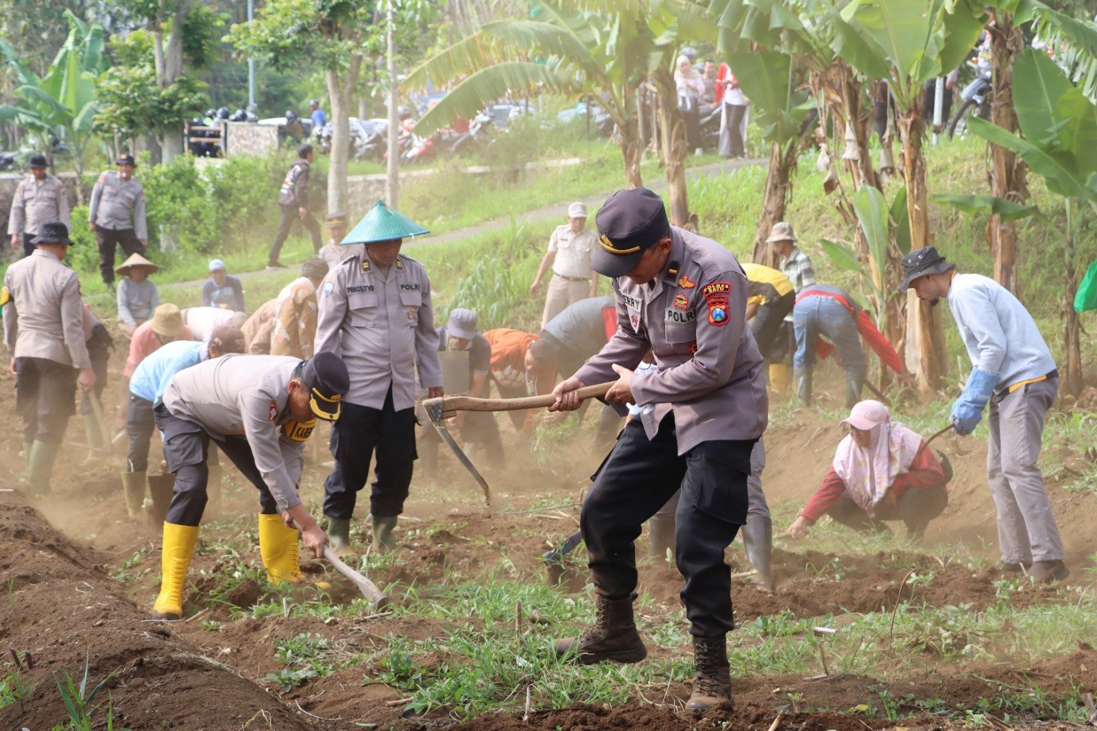 Polres Batu dan Dinas Pertanian Kota Batu Aktifkan Lahan Tidur Menjadi Lahan Produktif 1000364612