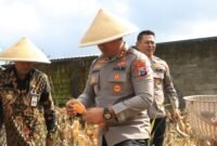 Kapolres Malang, AKBP Danang Setiyo P. S., saat  memimpin langsung jalannya panen (dok humas Polres Malang)