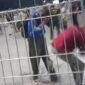 Keterangan: Screenshot Video viral saat Perwira TNI AL Letda AY saat mengalami pengeroyokan di Terminal Arjosari pada Kamis malam (26/06).