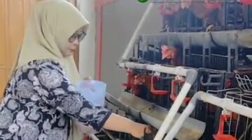 Kreativitas Camat Pakisaji Bikin Kandang Ayam Minimalis, Jadi Simbol Ketahanan Pangan Warga