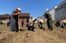 Santri, polisi, dan TNI tanam jagung bareng, dorong pesantren jadi pusat ketahanan pangan.