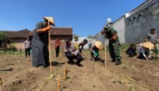Santri, polisi, dan TNI tanam jagung bareng, dorong pesantren jadi pusat ketahanan pangan.