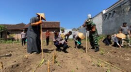 Santri, polisi, dan TNI tanam jagung bareng, dorong pesantren jadi pusat ketahanan pangan.