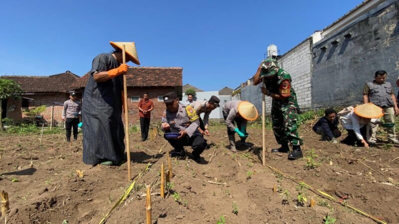Santri, polisi, dan TNI tanam jagung bareng, dorong pesantren jadi pusat ketahanan pangan.