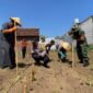 Santri, polisi, dan TNI tanam jagung bareng, dorong pesantren jadi pusat ketahanan pangan.