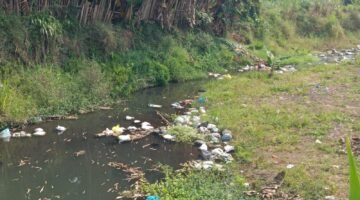 Pasuruan Darurat Sampah: Sungai Beji Berubah Jadi Lautan Sampah