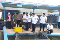 Ket foto. Bupati Malang H.M Sanusi didampingi Kepala Desa Mulyoarjo, Kepala Dinas Perikanan dan Forkopimcam Kecamatan Lawang saat panen ikan nila