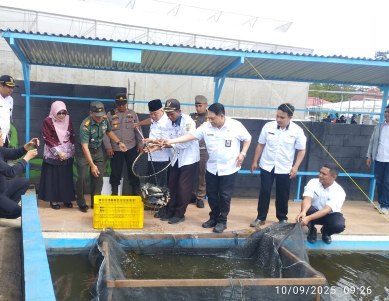 Ket foto. Bupati Malang H.M Sanusi didampingi Kepala Desa Mulyoarjo, Kepala Dinas Perikanan dan Forkopimcam Kecamatan Lawang saat panen ikan nila