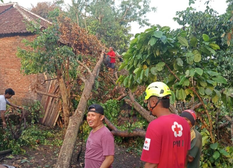 Ket foto. Tampak pohon tumbang yang menimpa rumah warga 