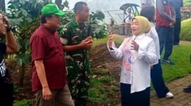 ket foto. Wakil Bupati Malang, Hj. Lathifah Shohib didampingi Kepala Dinas Tanaman Pangan Hortikulturu dan Perkebunan dan Banbinsa Koramil Tumpang Sersan Mayor Heri Purnomo membahas pengembangan kebun Kopi di Benjor Pine Camping Ground 