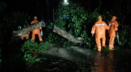 Ket foto. Tim gabungan saat melakukan pemotongan pohon yang tumbang
