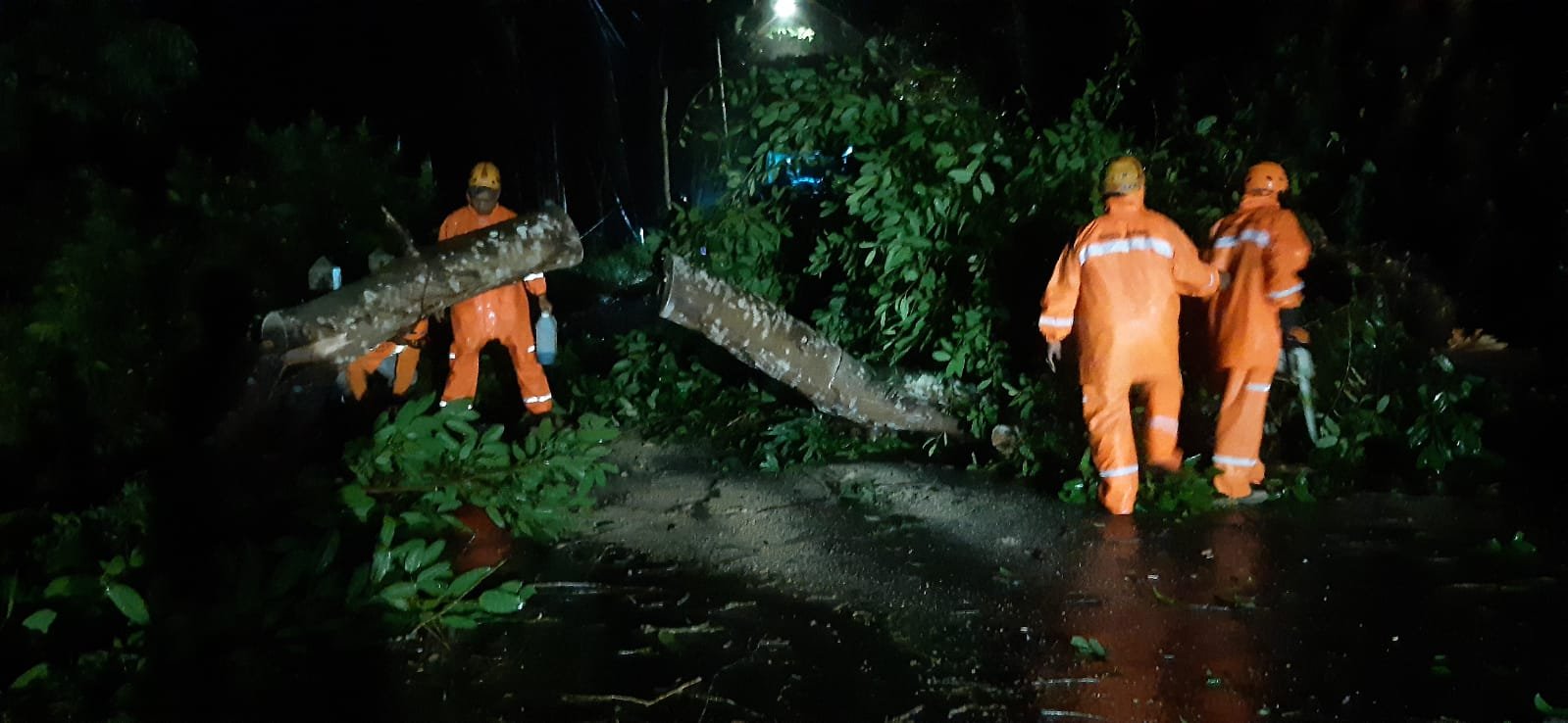 Hujan Deras Disertai Angin Picu Pohon Tumbang di Pagak Malang, Akses Jalan Sempat Tertutup Total IMG-20251102-WA0001