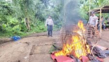 Ket foto. Jajaran Kepolisian Resor Malang saat membakar perjudian sabung ayam di Dusun Purwodadi, Desa Bumirejo Dampit