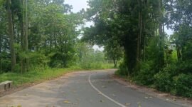 Ket foto. Akses jalan Desa Toyomarto Singosari menuju Kebun teh Wonosari dan Desa Ketindan Lawang yang minim penerangan di malam hari 