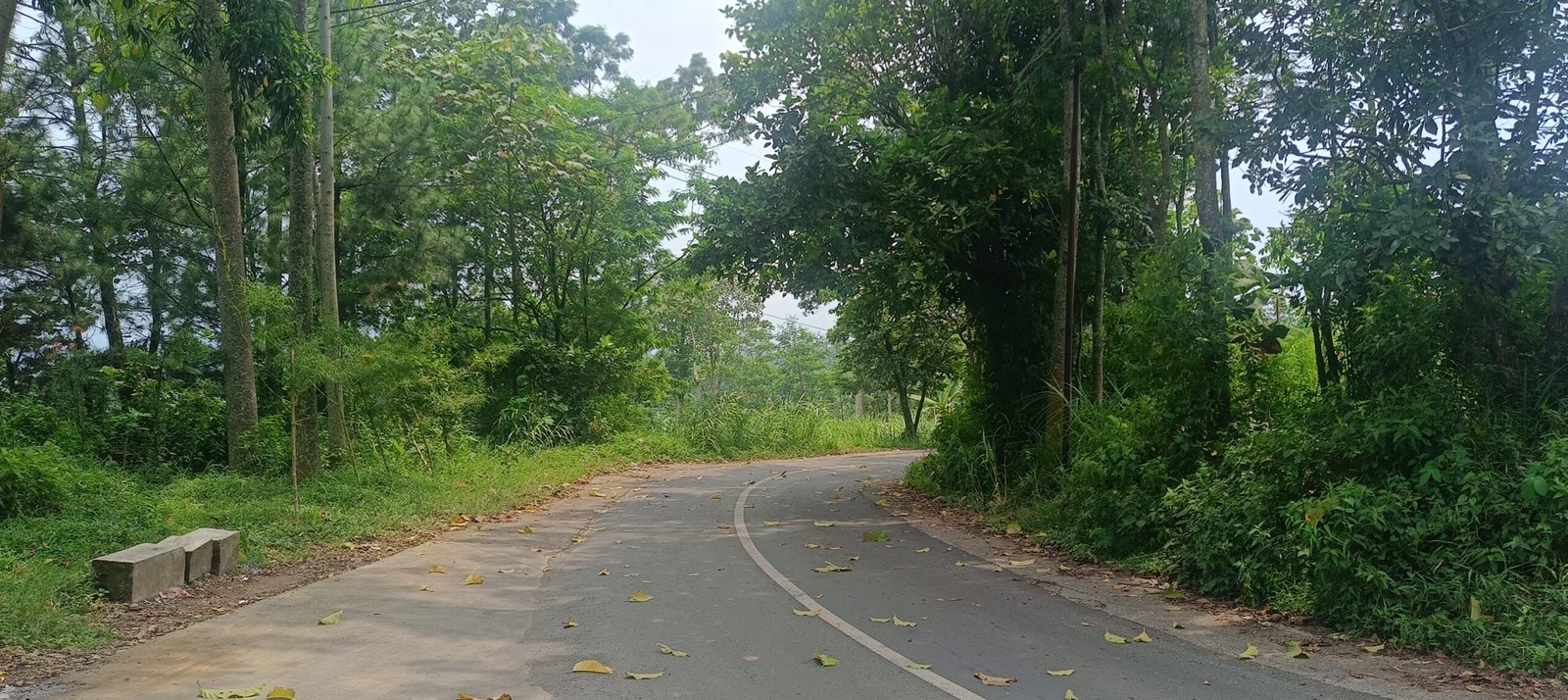 Jalur Toyomarto–Kebun Teh Wonosari Minim Penerangan, Warga Harapkan PJU dari Pemkab Malang IMG20251230121523