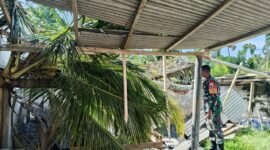 Ket foto. Rumah warga tertimpa pohon tumbang akibat angin kencang di Kecamatan Donomulyo 