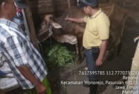 Ket foto. Kasus Penyakit Mulut dan Kuku (yang terjadi di wilayah Kecamatan Wonorejo Kabupaten Pasuruan