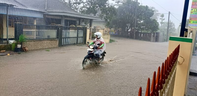 Ket foto. Akses jalan depan Balai desa Purwoasri Kecamatan Singosari yang terendam air