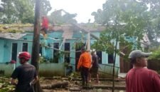 Ket foto. Tim gabungan dan BPBD kabupaten Malang saat melakukan evakuasi pohon tumbang yang menimpa rumah warga