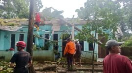 Ket foto. Tim gabungan dan BPBD kabupaten Malang saat melakukan evakuasi pohon tumbang yang menimpa rumah warga