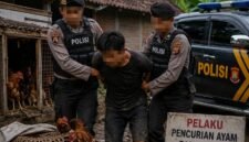 Ilustrasi Penangkapan Terduga Pelaku Pencurian Ayam Oleh Polres Kota Batu