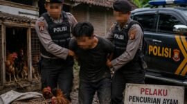 Ilustrasi Penangkapan Terduga Pelaku Pencurian Ayam Oleh Polres Kota Batu