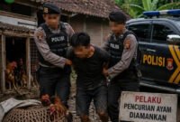 Ilustrasi Penangkapan terduga pelaku pencurian ayam oleh Polres Kota Batu (Foto: bgs pendoposatu.id)
