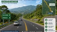Ilustrasi Pembangunan JLS Dan PJU Gondanglegi-Balekambang Kabupaten Malang