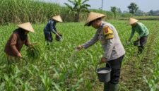 Bhabinkamtibmas Kelurahan Buring, Polsek Kedungkandang, Polresta Malang Kota, Aiptu Suwandi