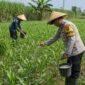 Bhabinkamtibmas Kelurahan Buring, Polsek Kedungkandang, Polresta Malang Kota, Aiptu Suwandi