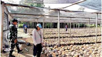 Tim Irjen Kementan Saat Monitoring Dan Audit Produksi Benih Kelapa Milik CV. Lang Buana Blitar