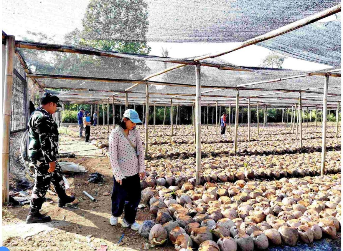 Dukung Hilirisasi Kelapa Nasional, Kontraktor Blitar Jalani Audit Produksi Benih IMG-20260603-WA0023