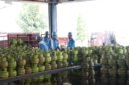 Pangkalan LPG 3 Kg, Milik Minfahul Huda