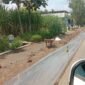 Pelebaran Ruas Jalan Kabupaten Wilayah Malang Selatan (Foto: Bgs)