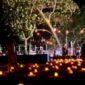 Ket foto. gelaran Starlight Festival Balekambang 2026