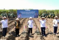 Gubernur Jawa Timur, Khofifah Indar Parawansa Didampingi Bupati Malang, HM Sanusi, Perwakilan Kementrian Dan Lembaga, Direktur Operasional PT.Sinergi Gula Nusantara Dan Dinas Pertanian Dan Perkebunan Pemprov Jatim Saat Giat Bongkar Ratoon Di Desa Putukrejo Kecamatan Gondanglegi (Foto: Seno)