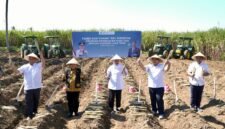 Gubernur Jawa Timur, Khofifah Indar Parawansa Didampingi Bupati Malang, HM Sanusi, Perwakilan Kementrian Dan Lembaga, Direktur Operasional PT.Sinergi Gula Nusantara Dan Dinas Pertanian Dan Perkebunan Pemprov Jatim Saat Giat Bongkar Ratoon Di Desa Putukrejo Kecamatan Gondanglegi (Foto: Seno)
