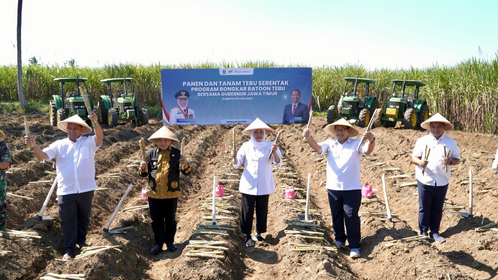 Bongkar Ratoon Jadi Senjata Percepat Swasembada Gula, Produktivitas Tebu Nasional Digenjot dari Malang Bongkar Ratoon Jadi Senjata Percepat Swasembada Gula, Produktivitas Tebu Nasional Digenjot dari Malang