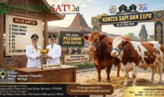 berita-pilihan-foto
