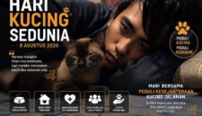 Ilustrasi Hari Kucing Sedunia (Foto: Boby pendoposatu.id)