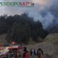 Personel gabungan TNI, Polri dan Polhut KPH Tumpang masih melakukan pemantauan dan siaga di wilayah Jemplang (Foto: dik/Hms pendoposatu.id)
