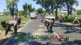 Unit Gakkum Satlantas Polresta Banyuwangi saat oleh TKP laka lantas (Foto: Boby pendoposatu.id)