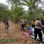 Polres Malang Tutup Celah Perjudian Sabung Ayam Wadung Pakisaji Polres Malang Tutup Celah Perjudian Sabung Ayam Wadung Pakisaji